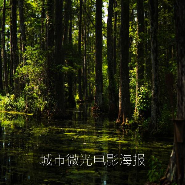 城市微光电影海报