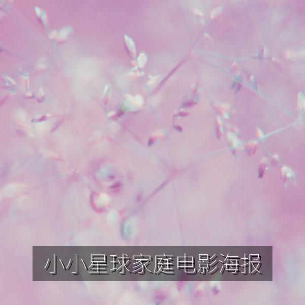 小小星球家庭电影海报
